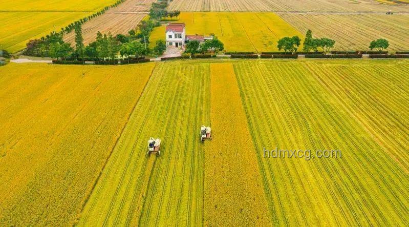 中国田间好丰景：智慧农业助力乡村振兴案例研究